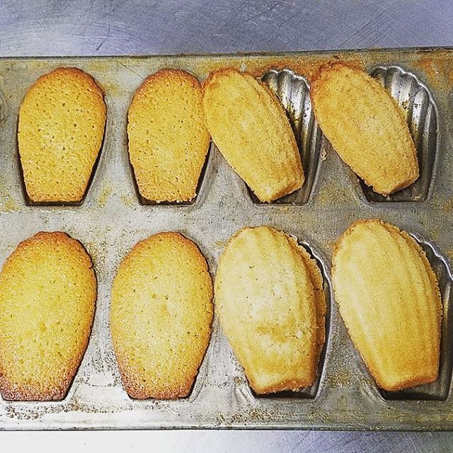 Madeleines with poached nectarines and almond ice cream.  Dessert for Guest Chef night tonight at Farestart; there is still time for reservations!
#farestart #cafepresseseattle #madeleines #casualfrenchdining